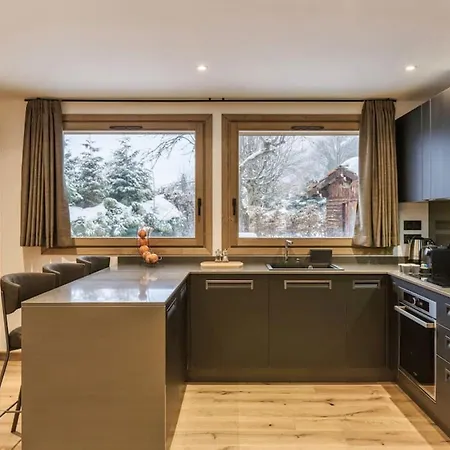 Jacaranda1 Sublime 8pax 100m2 Vue Mtblanc Parking שאמוני