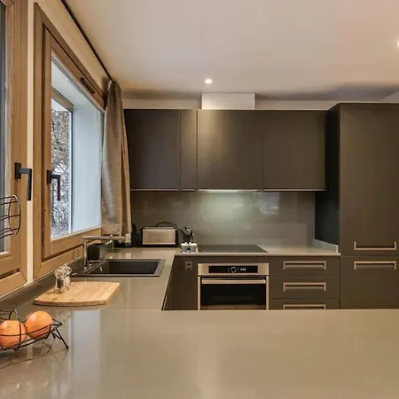 Jacaranda1 Sublime 8pax 100m2 Vue Mtblanc Parking * שאמוני